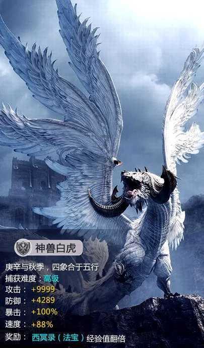 空洞骑士